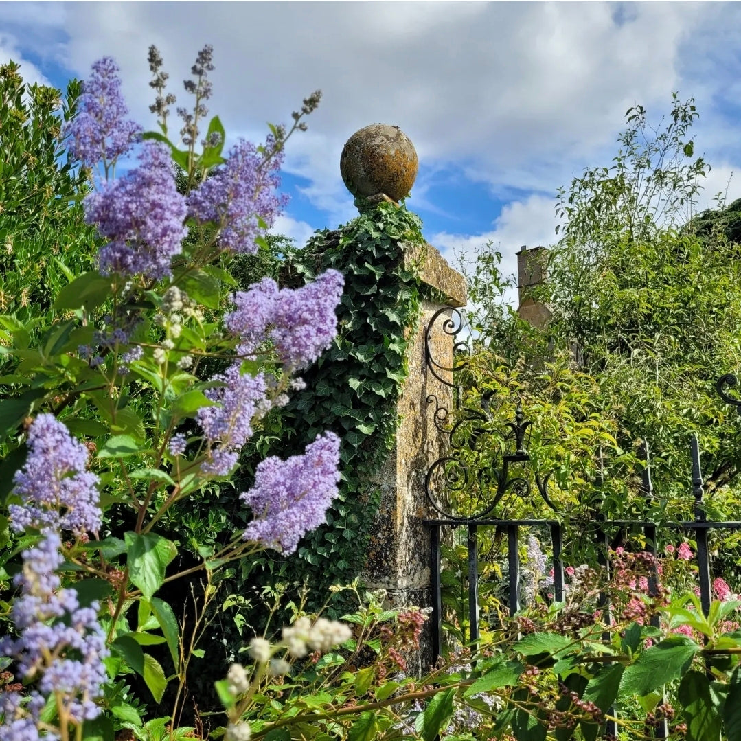 A Visit to Hidcote Gardens
